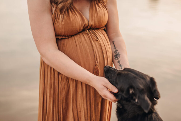 Babybauch Shooting mit 4 pfoten